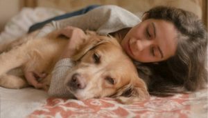 Seu animal de estimação dorme em sua cama?
