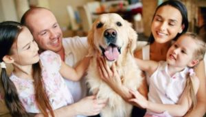 Amor pet é transformador! Quem adota um animal de estimação, vive um sentimento intenso pelo bichinho. 